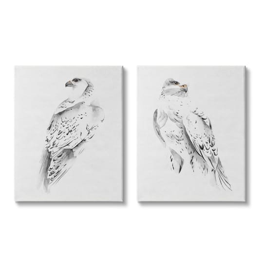 Stupell Industries White Hawk Winter Birds Soft Speckled Feathers Canvas Wall Art